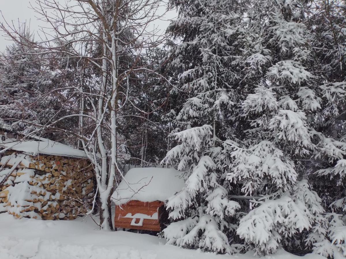 Winnica Spisz Łapsze Niżne Exterior foto